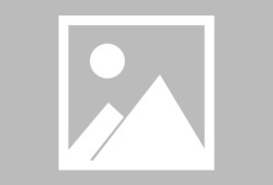 jiuyou官网入口-当纳达尔的铁血与Scout的诡道，在规则天平上共舞