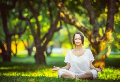jiuyou官网入口-东契奇新星闪耀，比分碾压显统治力，瑞士队虽败犹荣未来可期